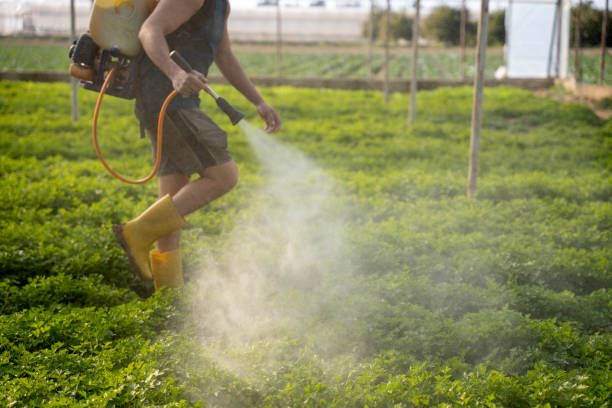 Best Residential Pest Control  in Johnson City, KS