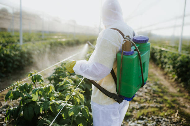 Pest Control Cost in Johnson City, KS